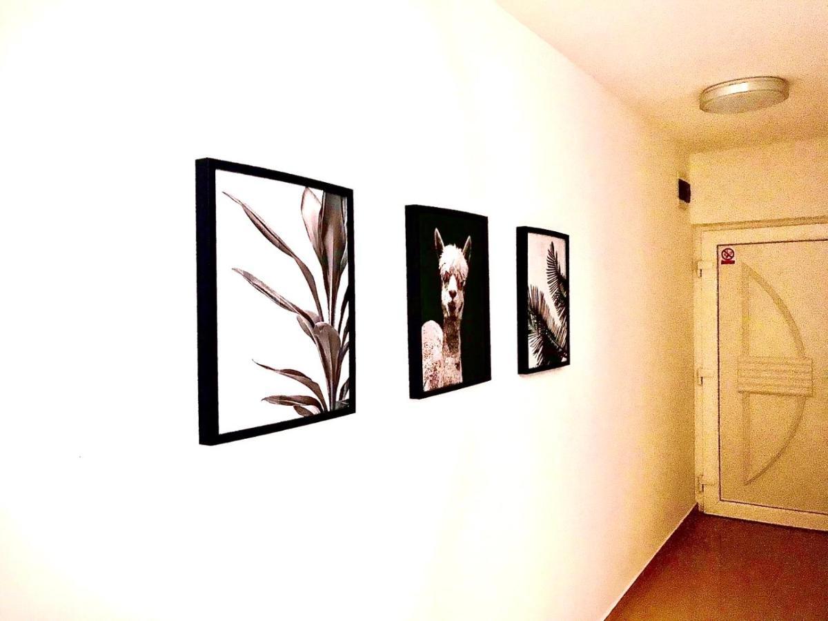 Vila Palit 497 D Apartment E Ngoại thất bức ảnh
